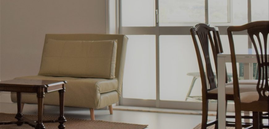 Descubra o Seu Novo Lar: Apartamento T0/T1 na Rua de Pinto Bessa, Porto
